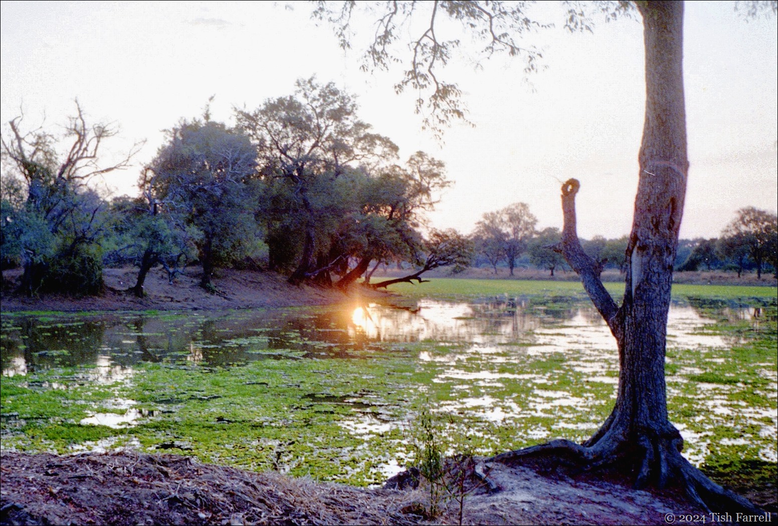 img20240926_16243268ed img20240926_16243268ed