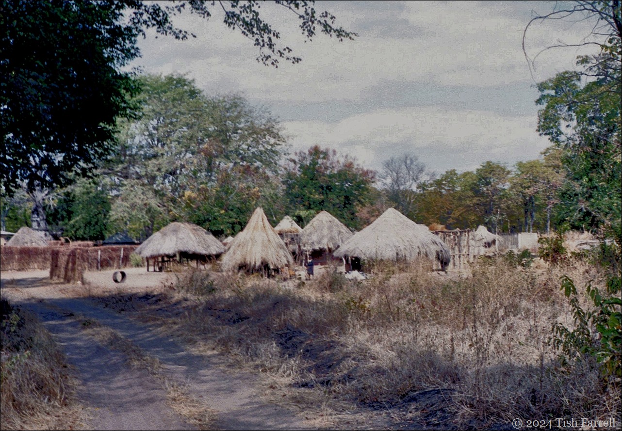 img20240926_16283638 village img20240926_16283638 village