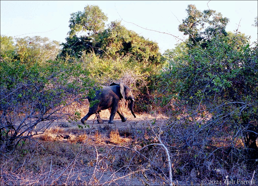 img20240926_17224534 Nkwale 