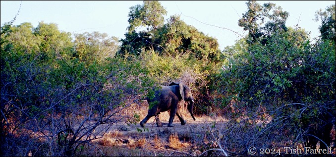 img20240926_17224534header