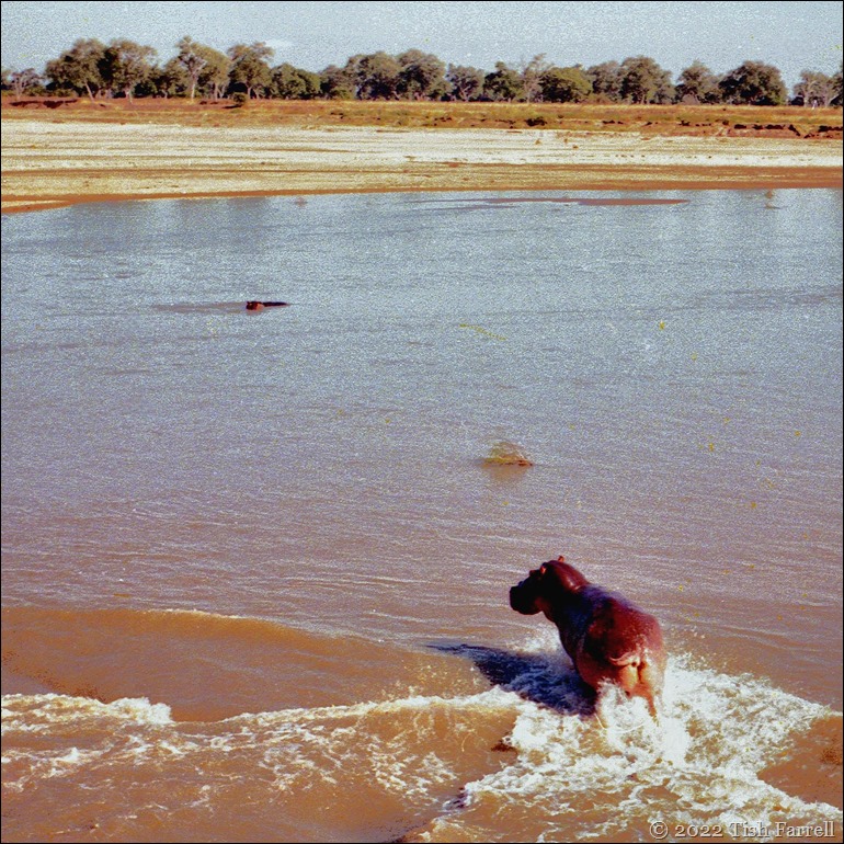 img20240926_17260578ed img20240926_17260578ed