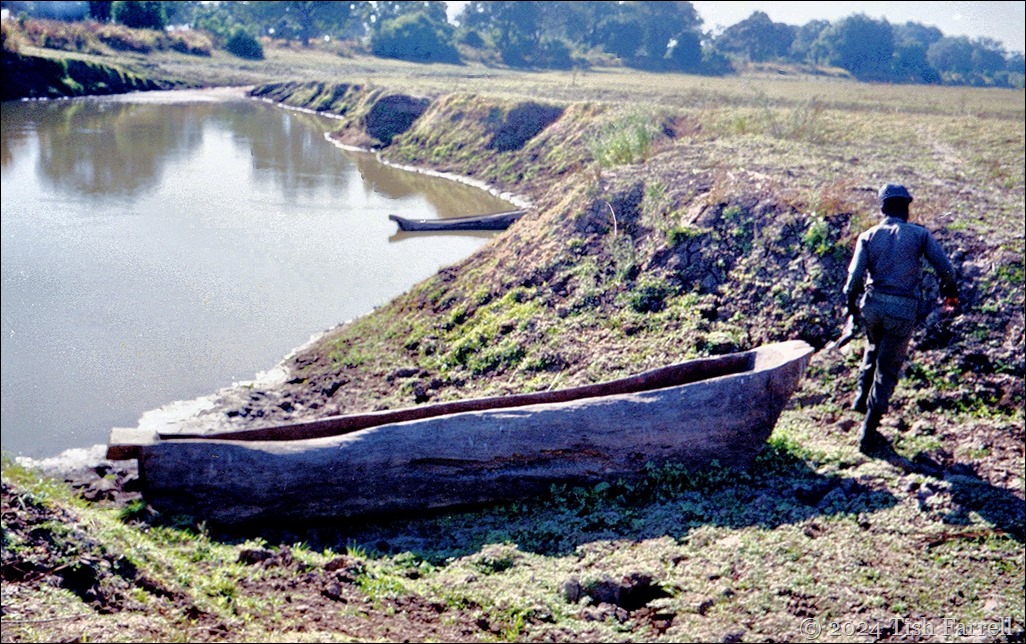 img20240926_17272601 img20240926_17272601