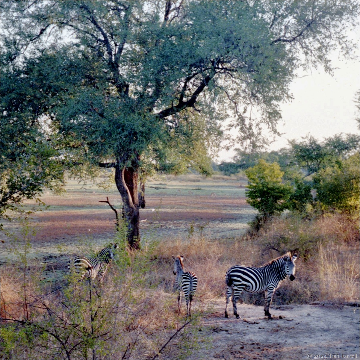 img20240926_17333197sq