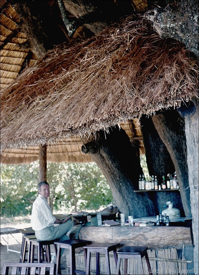 img20240926_17344961ed_thumb[7]