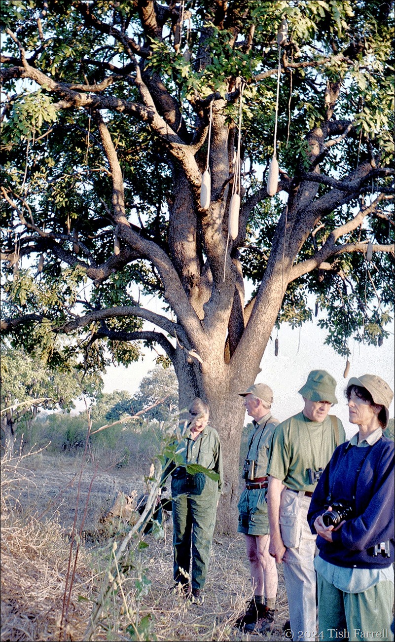 img20240926_18134026ed img20240926_18134026ed