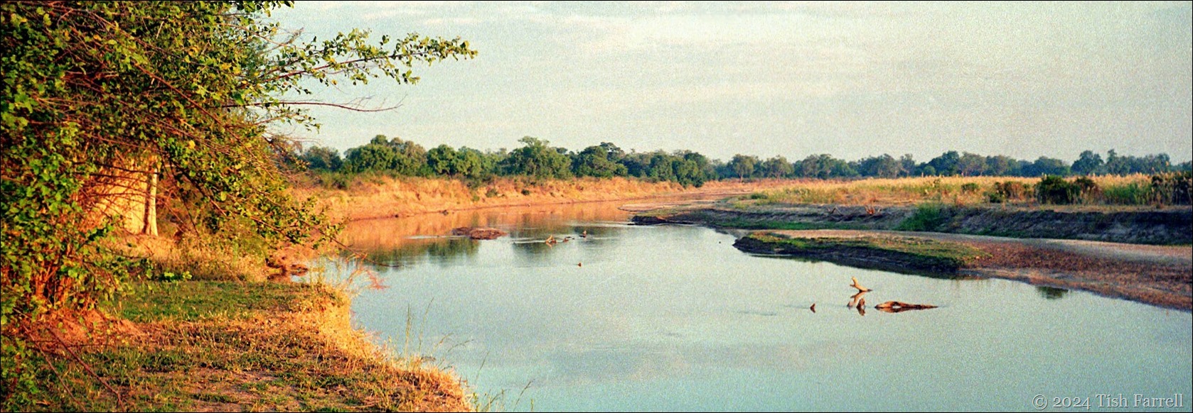South Luangwa - Luangwa River header South Luangwa - Luangwa River header