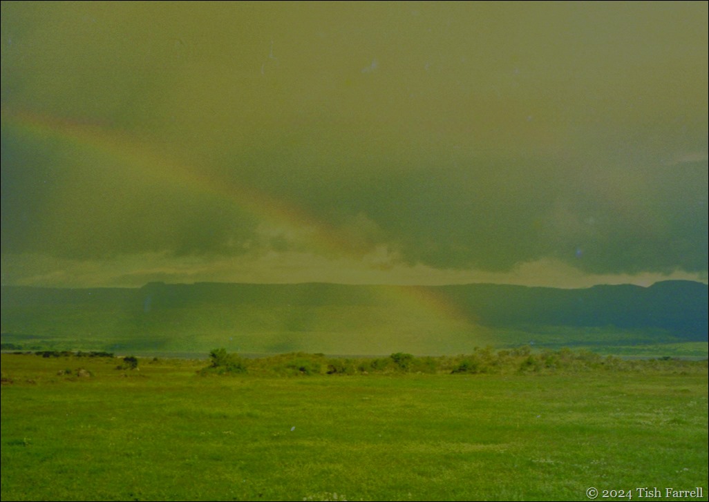 img20241001_19513812ed