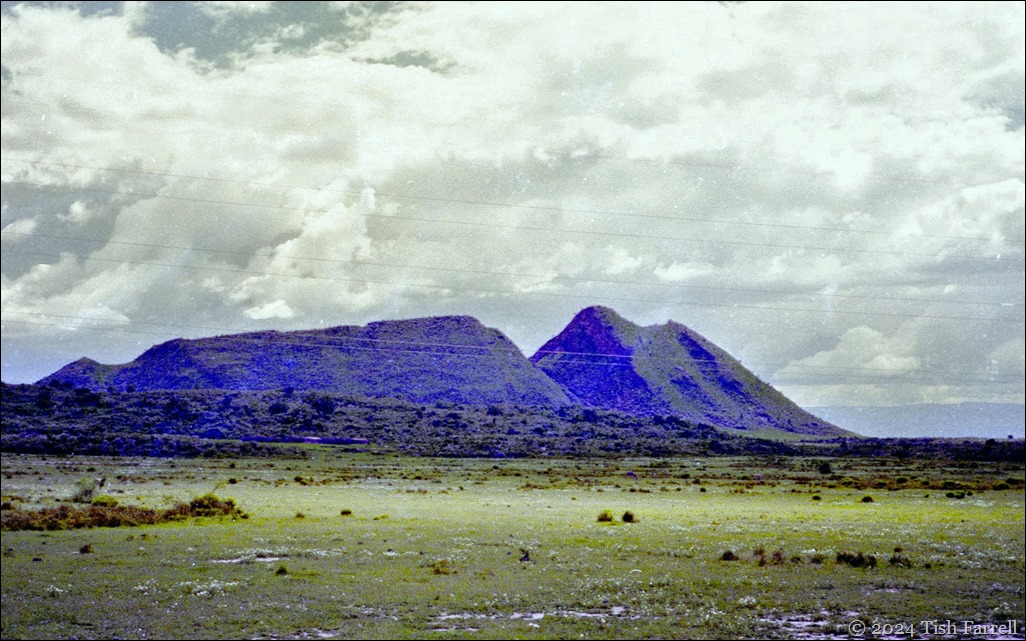 img20241001_19534122 lord delamere's nose 97 img20241001_19534122 lord delamere's nose 97