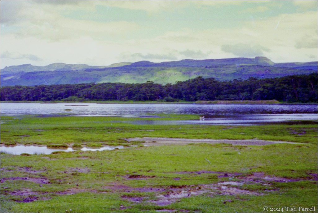 img20241001_19542210ed