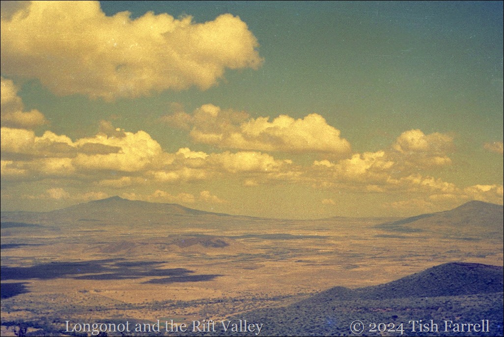 img20241003_14405356ed