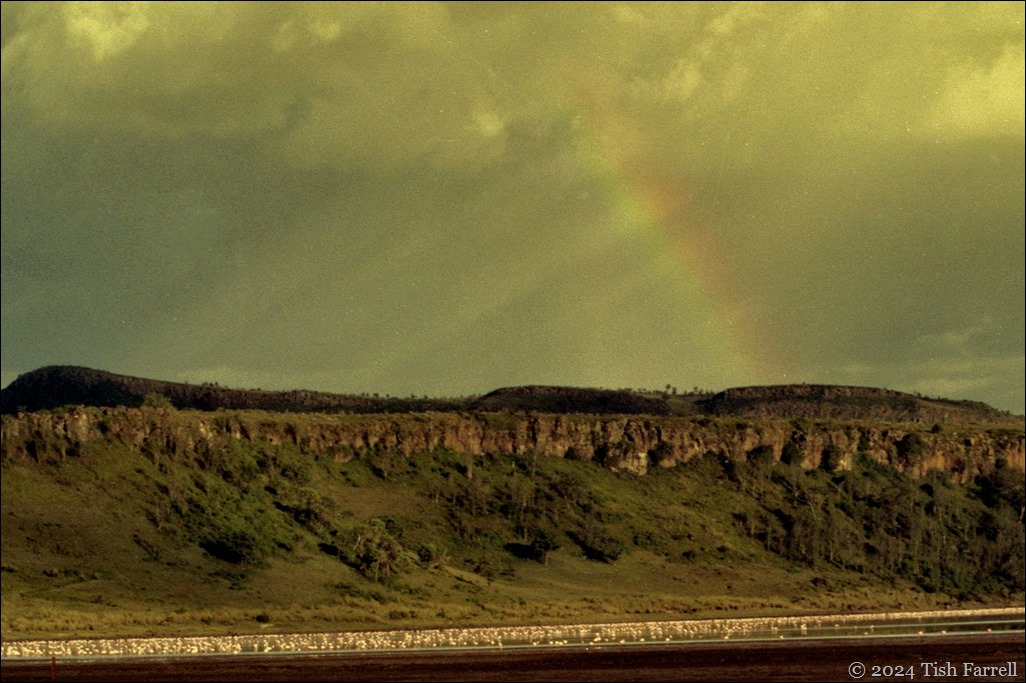 img20241004_11051850 east escarpment near camp img20241004_11051850 east escarpment near camp
