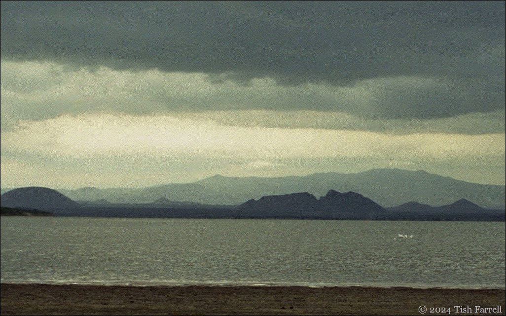 img20241004_11430944ed