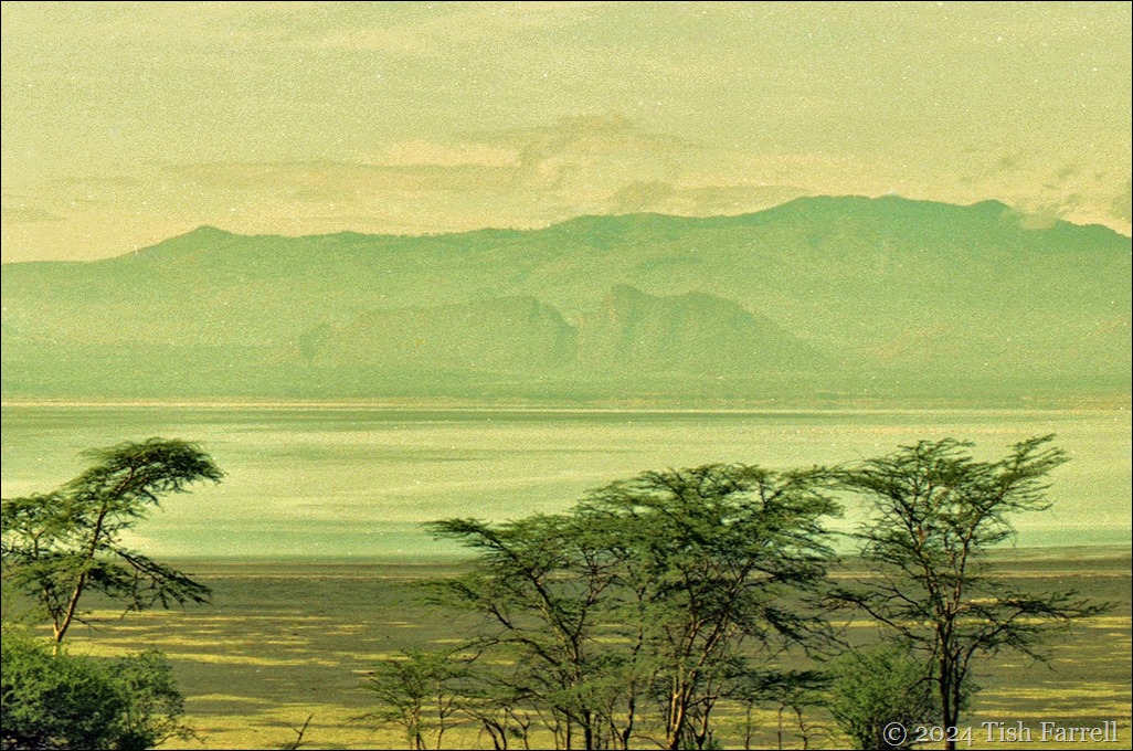 img20241005_19075173 Sleeping Warrior