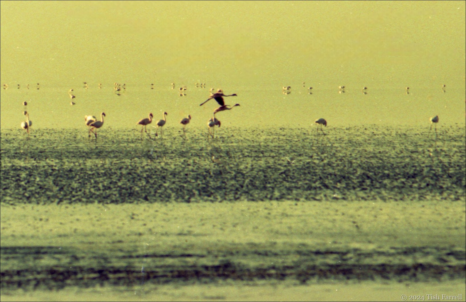 img20241008_12580861ed