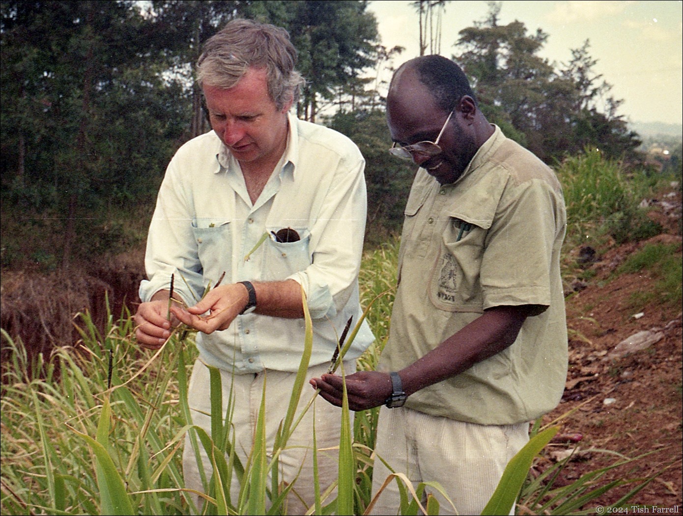 Graham and Jackson best