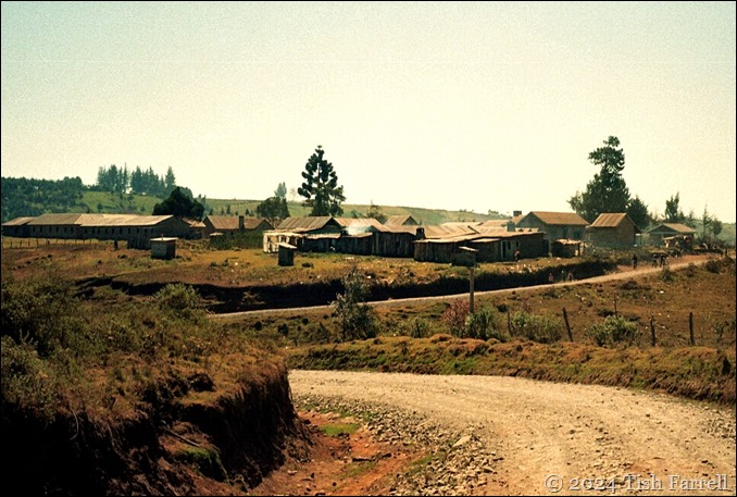 Kikuyu farmstead 11 ed