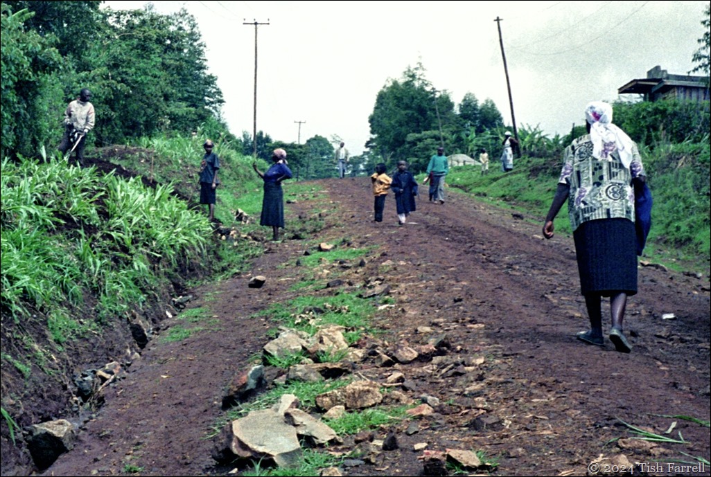 Rift lane after July downpour