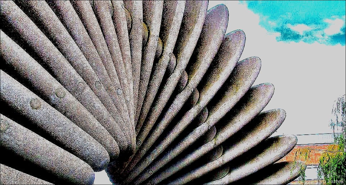 100_5792Darwin header 2