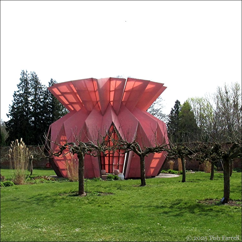 IMG_1312 pineapple 3