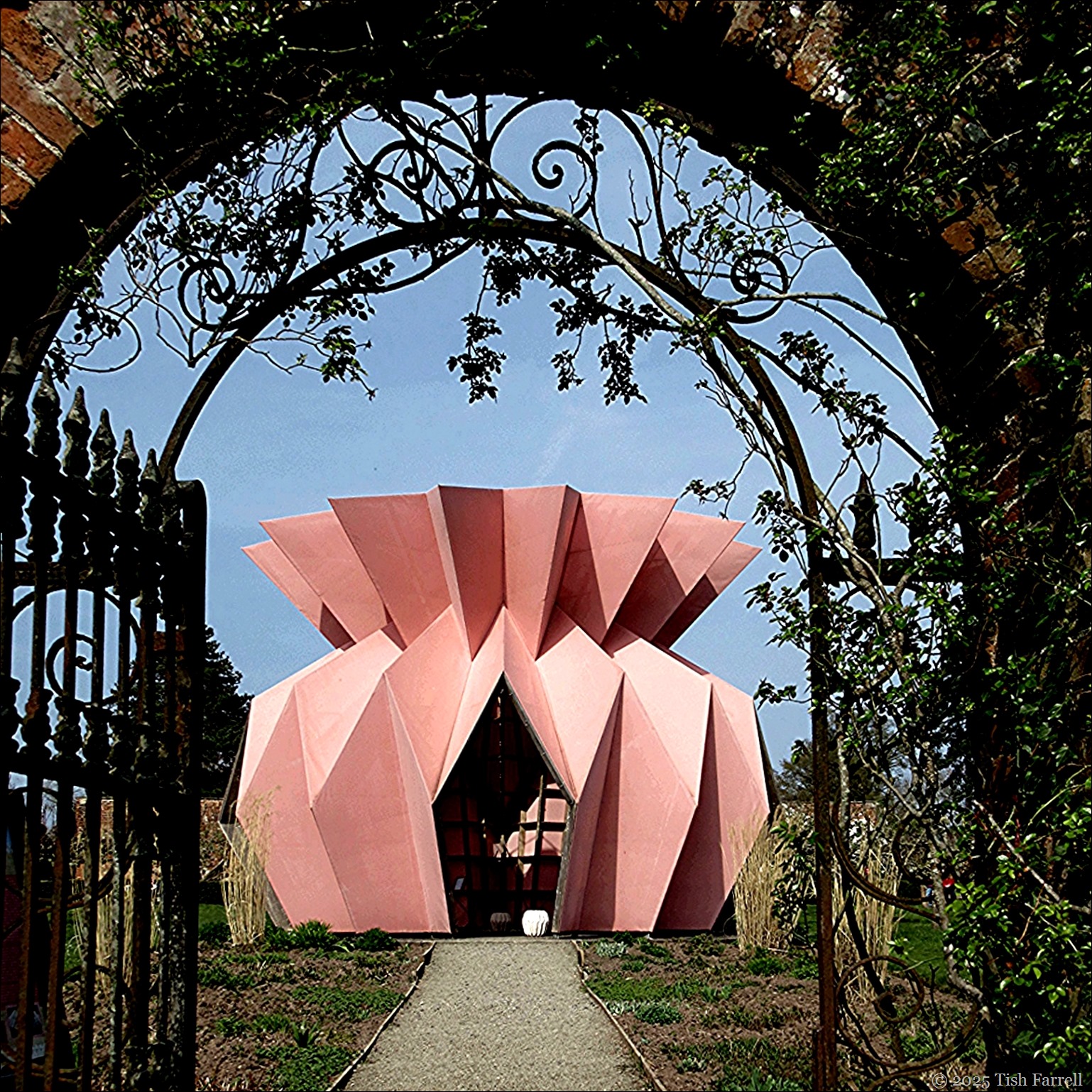 IMG_1328ed pineapple 2