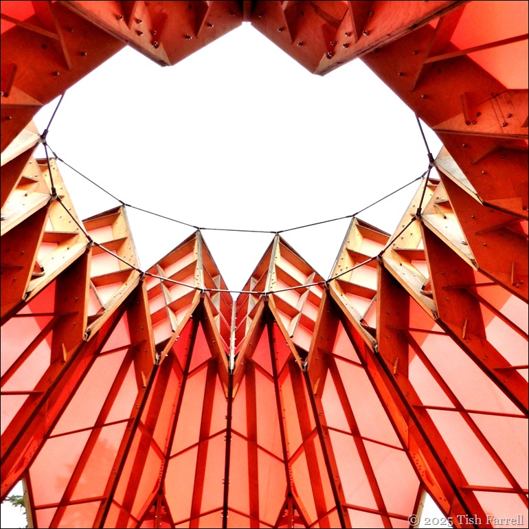 P1030075 sq pineapple 4