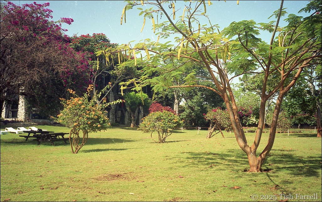 img005
