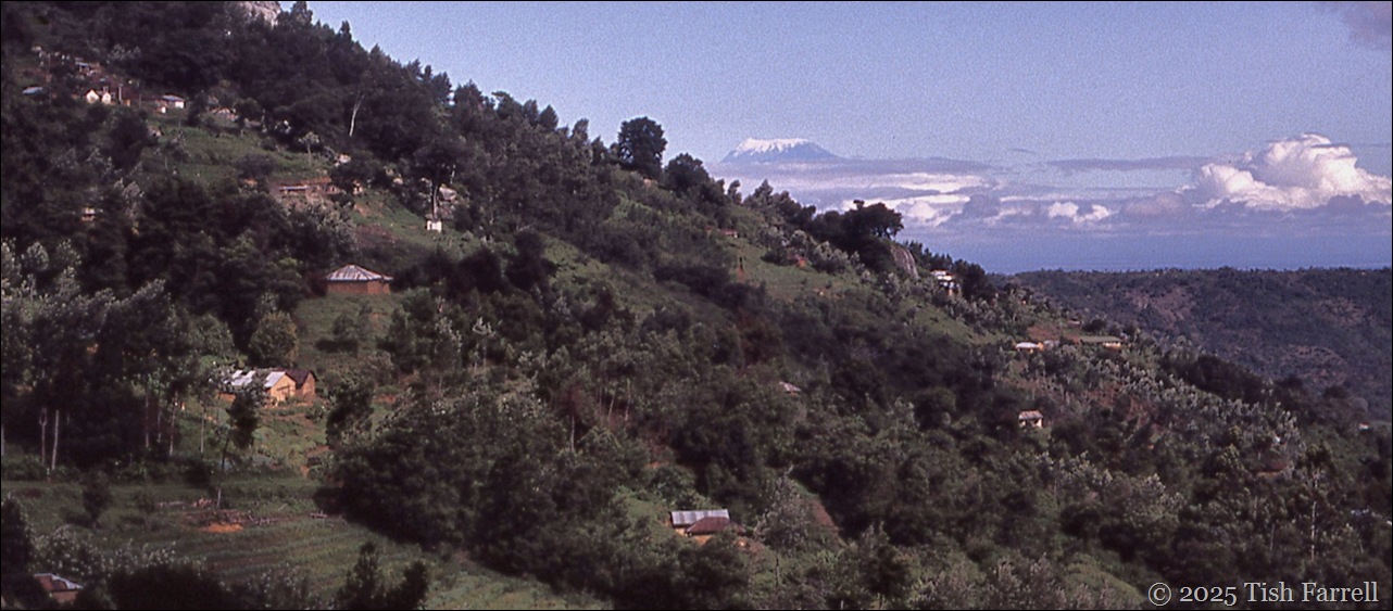 Kilimanjaro header