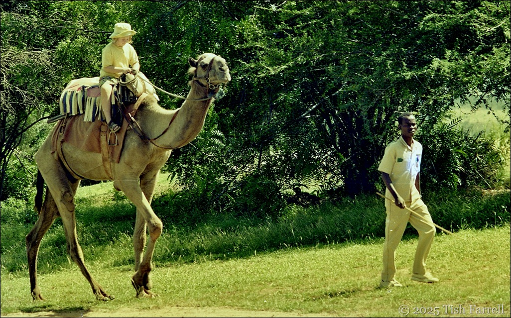 Robert and Sarah Robert and Sarah