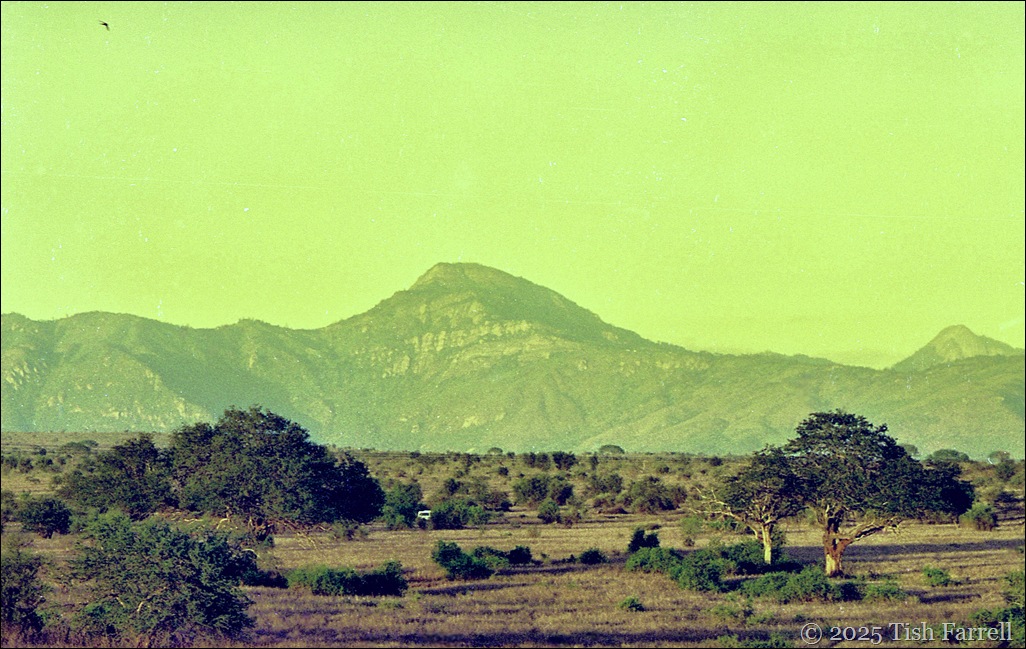 Rooftop view Rooftop view