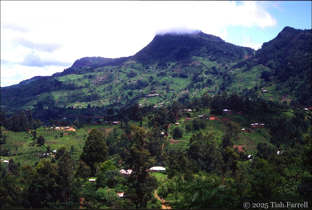 Scan-130520-0003 - Copy