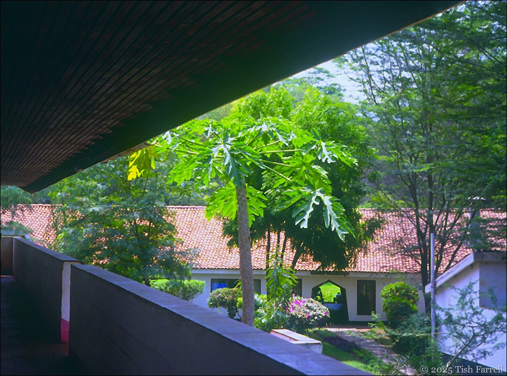 Scan-140828-0013jpeg