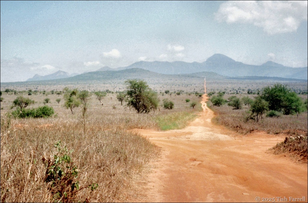 Taita Hills reserve