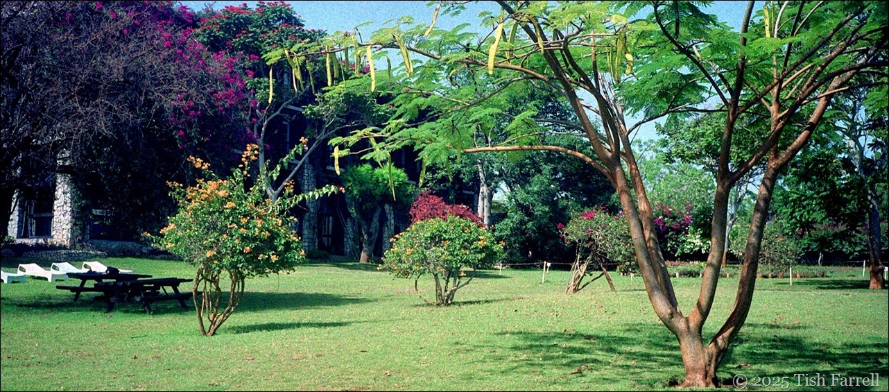 Taita Hilton - header _thumb[5]