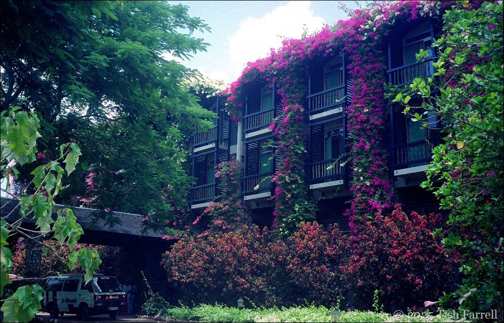 Taita Hilton - safari vans come and go_thumb[5]