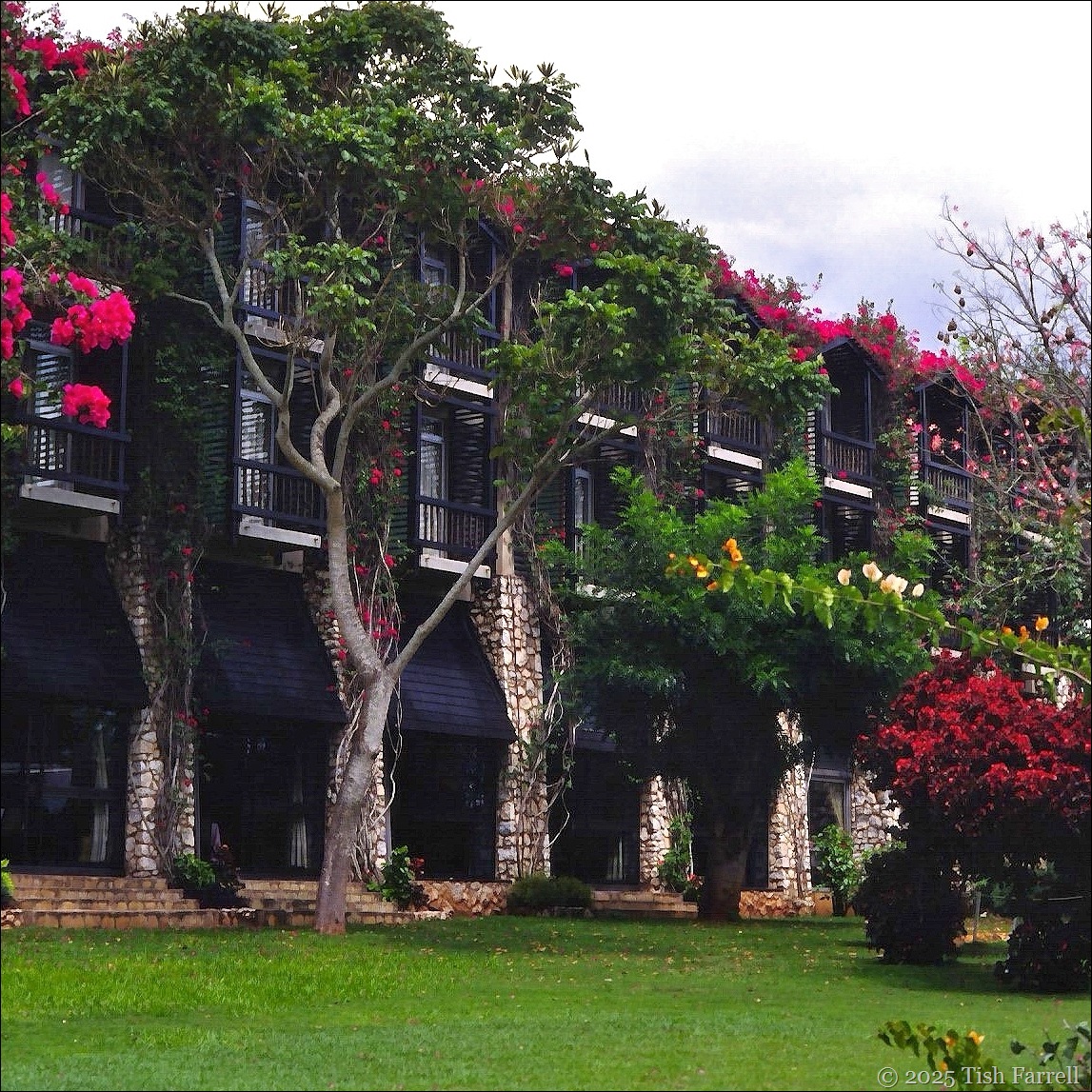 Taita Hilton sq Taita Hilton sq