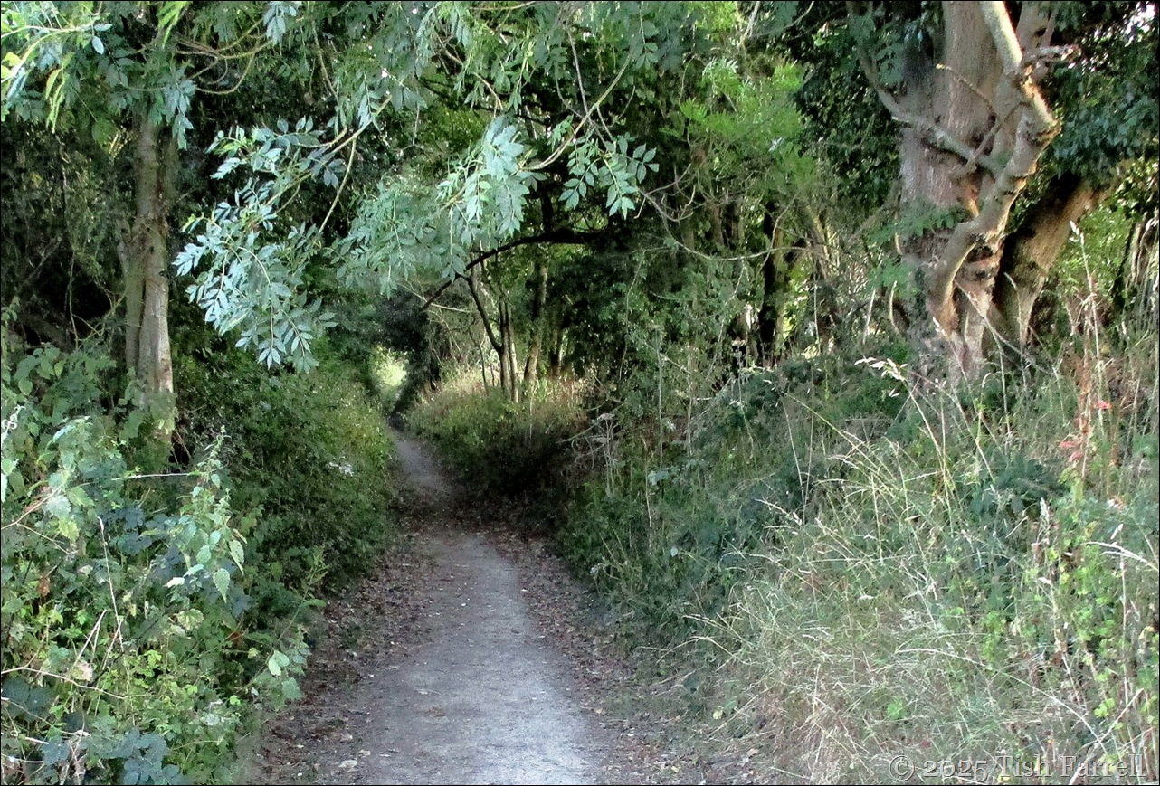 hollow way