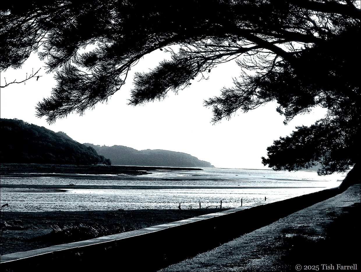 mawddach6