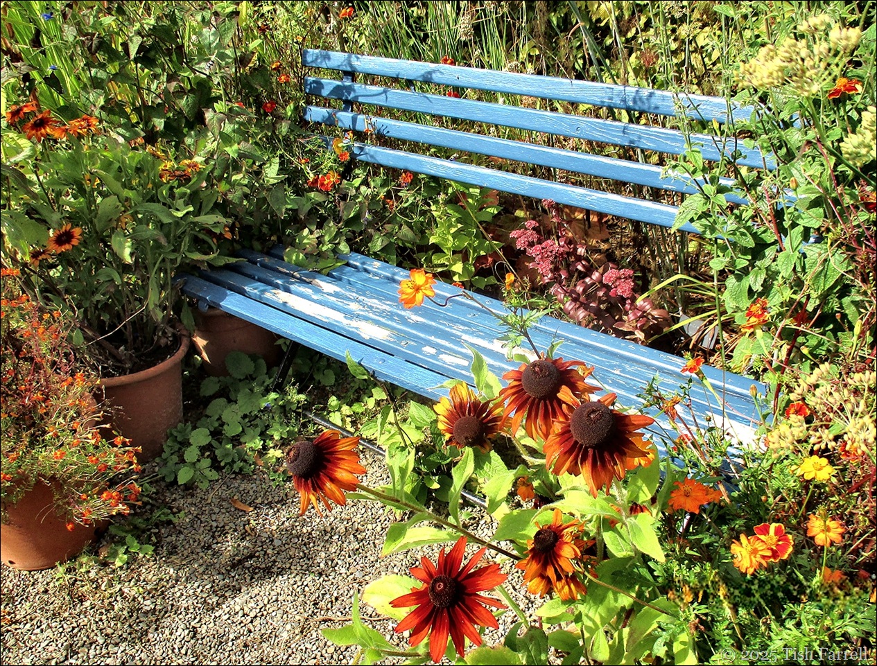 blue bench Wildegoose Nursery 