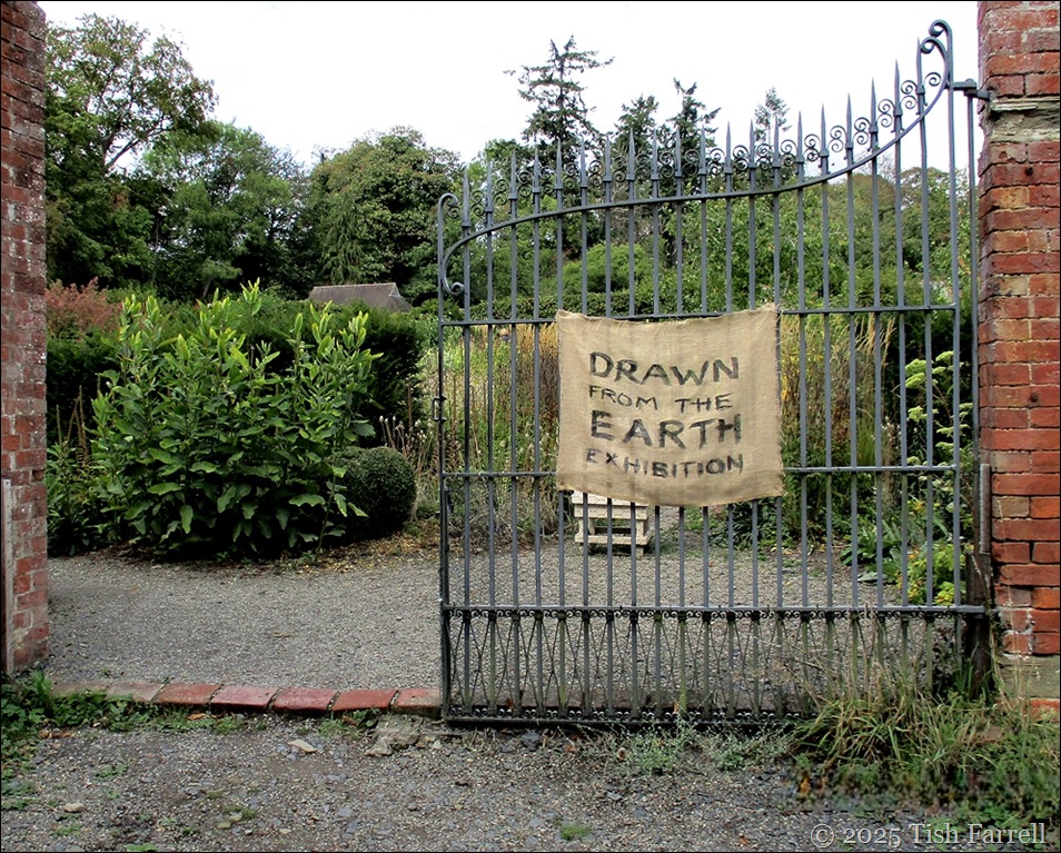 drawn from the earth