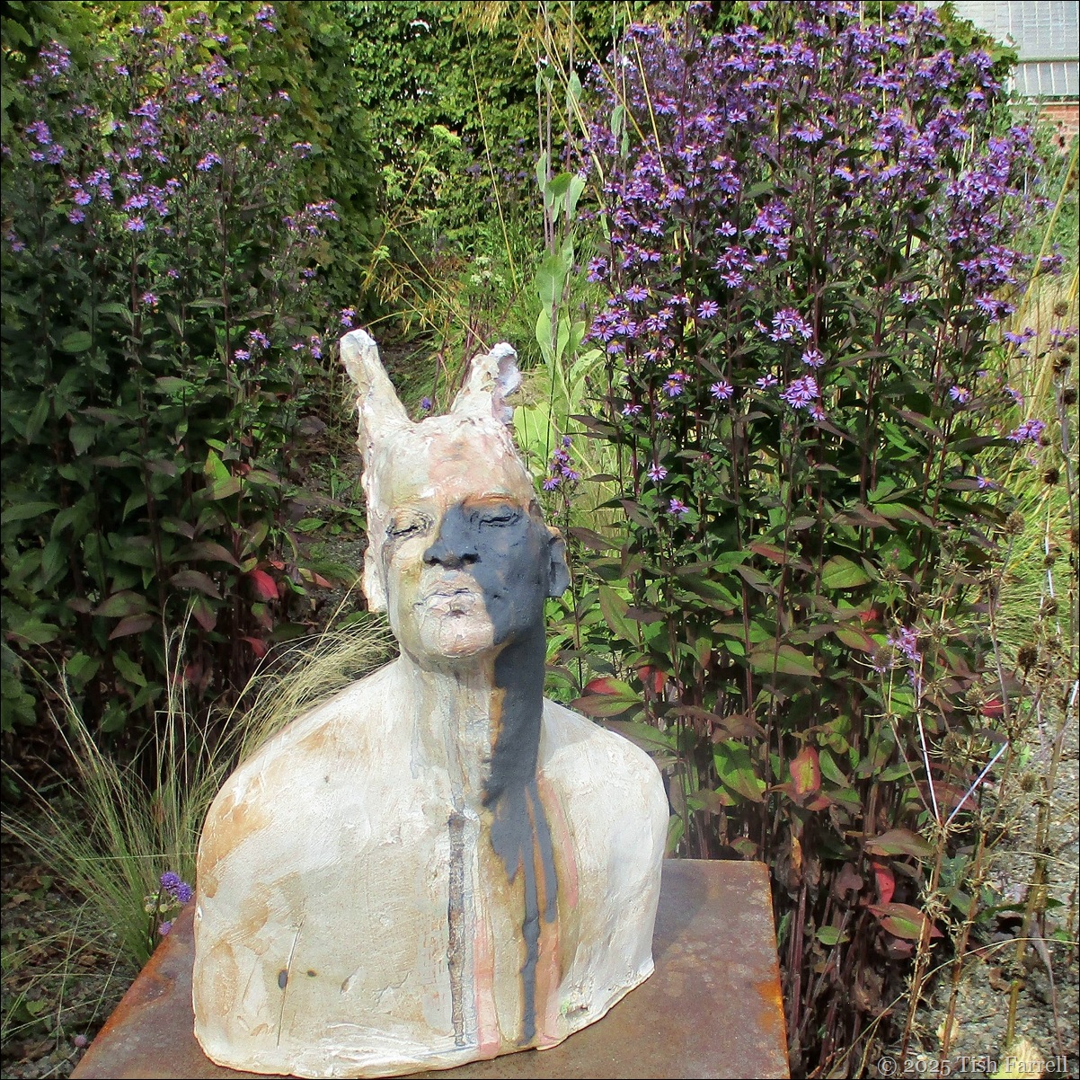 faun with shadow ears