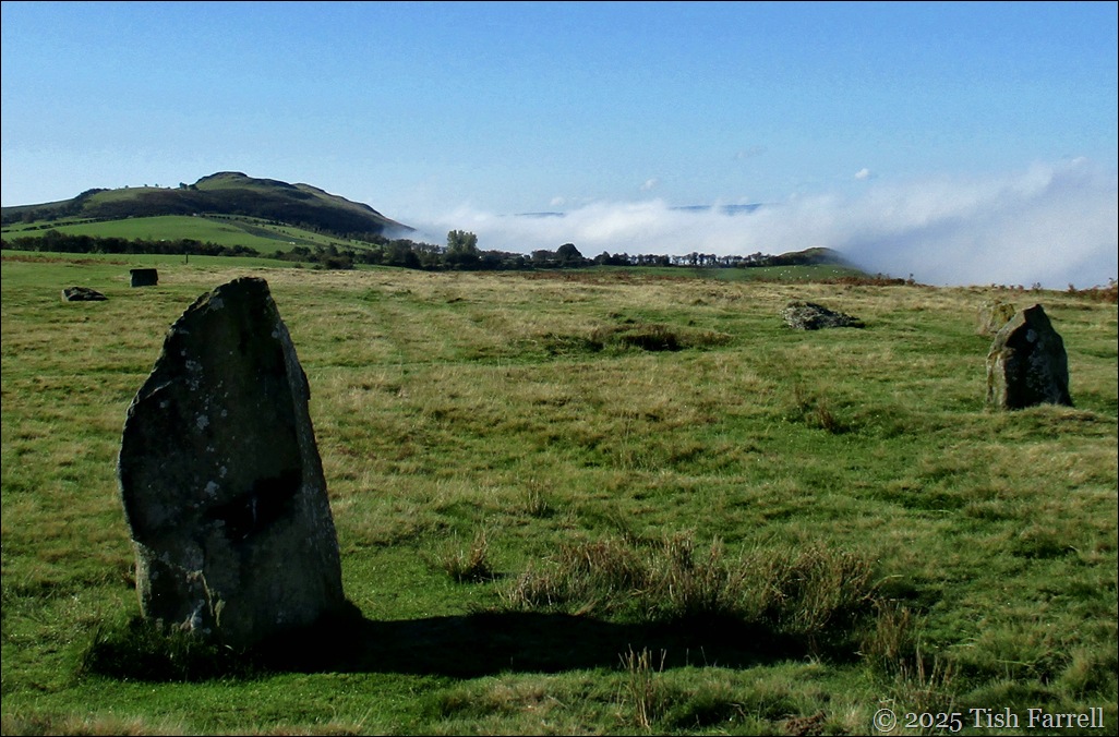 Mitchells Fold and brume 