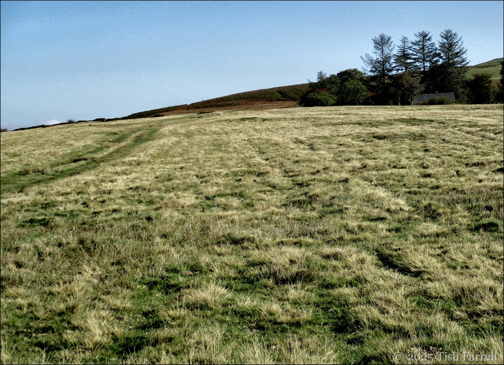 Mitchells Fold coach road