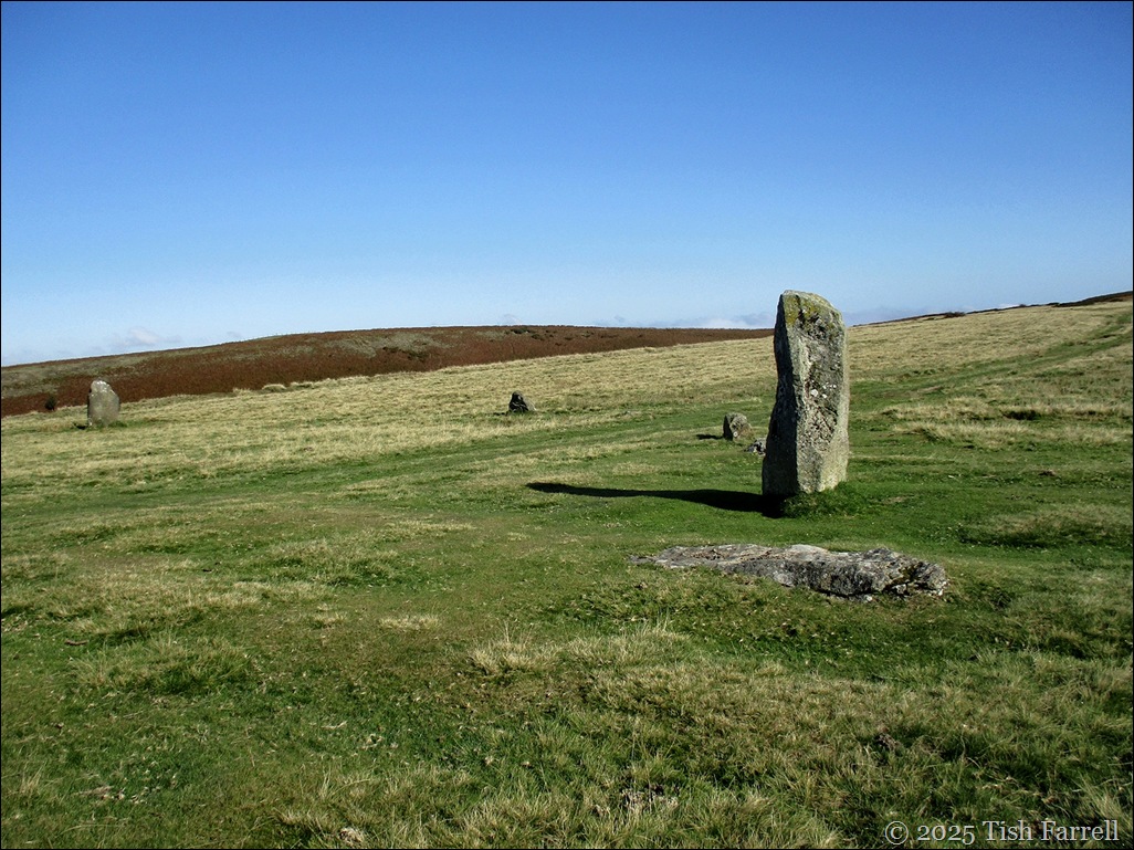 Mitchells Fold coach route