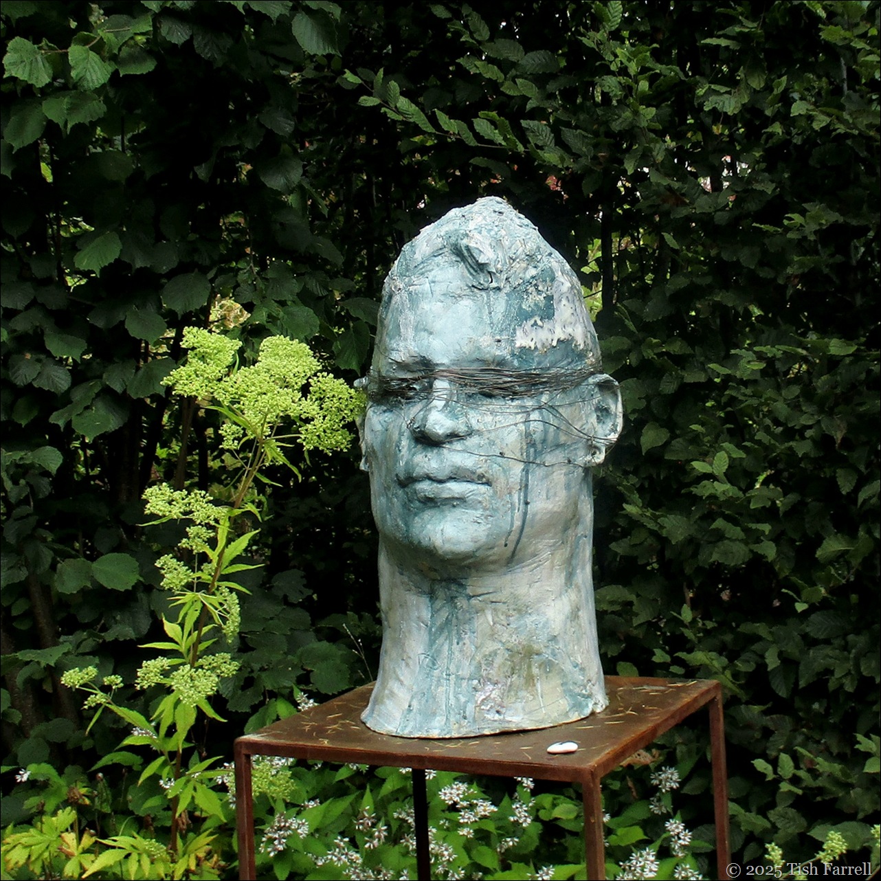 Not so blind that I can't see Sharon Griffin