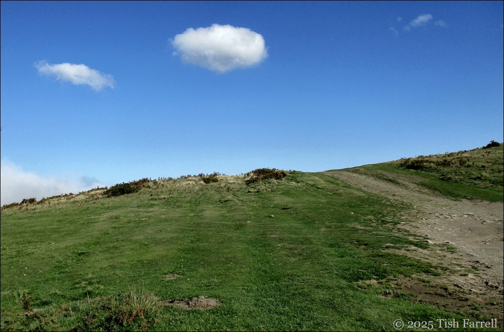 path to Mitchells Fold