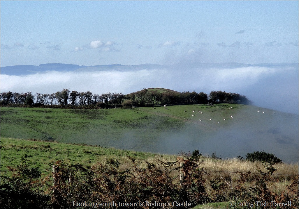 towards Bishop's Castle