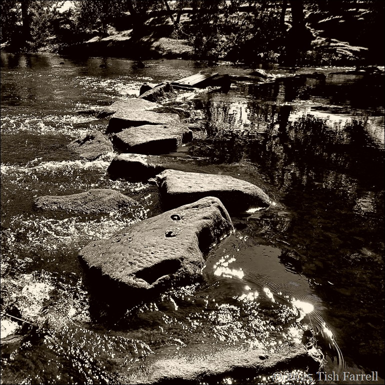 Callow and stepping stones sepia