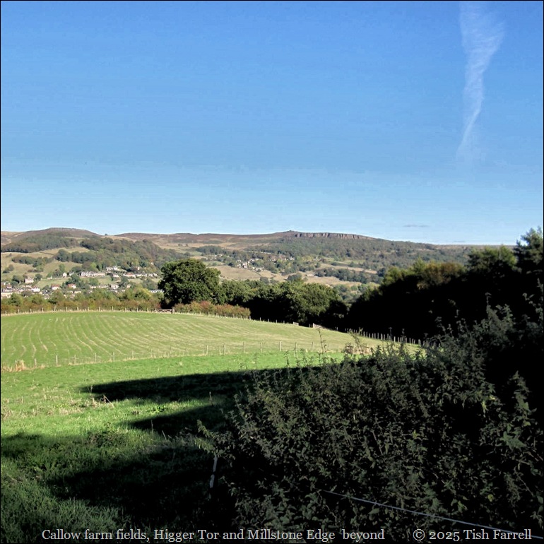 Hathersage, Callow farm, Millstone Edge
