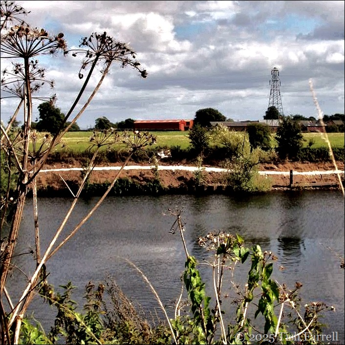 Mersey at Hollinfare
