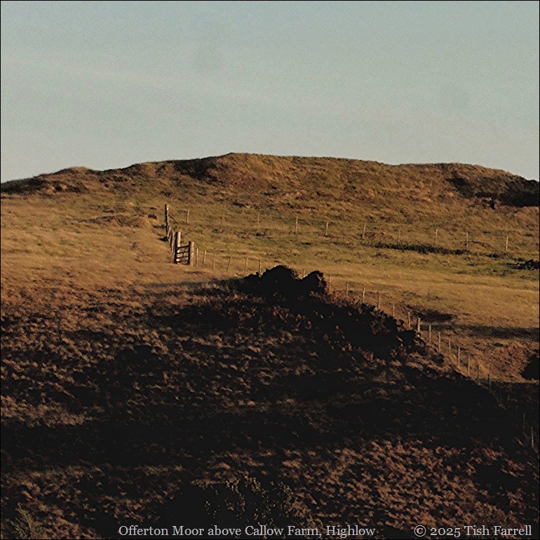 Offerton Moor above Callow